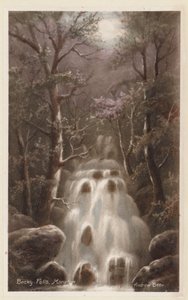 Dartmoor: Becky Falls, Manaton