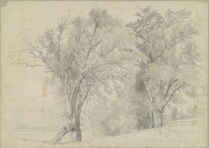 Ulmen, Hudson