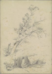 Bäume, Hudson