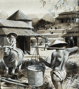Landwirtschaft in China von Andrew Howat