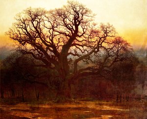 Major Oak, Sherwood Forest, Nottinghamshire, 1882 von Andrew MacCallum