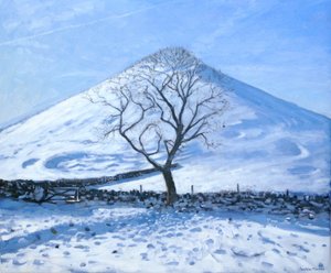 Hügel und Baum, Derbyshire, 2008