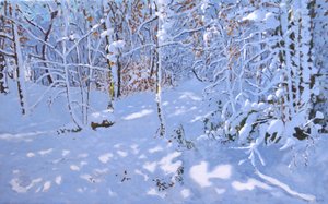 November Schnee, Allestree Woods, Derby