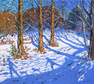 Novemberschnee, Allestree Park, Derby
