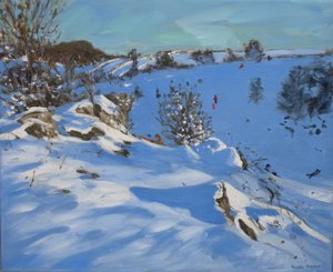 Schlittenfahrer, Derbyshire von Andrew Macara