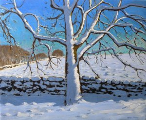Schneebedeckter Baum, 2011