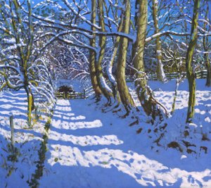 Der Tunnel, Calke Abbey, Ticknall, Derby, 2021 von Andrew Macara