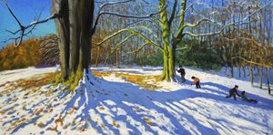 Top von Allestree Park von Andrew Macara