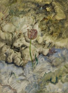 Entstehung von Andrey Avinoff