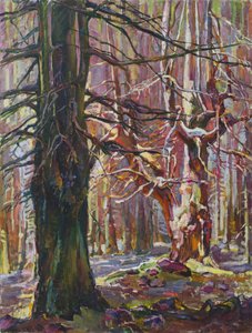 Sonnige Winterwälder von Andrii Kutsachenko