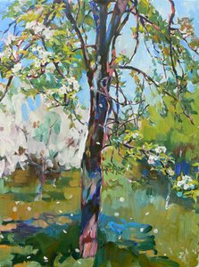 Sonnige Frühlingsblüten von Andrii Kutsachenko