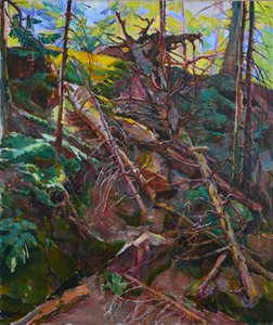 Wilder Waldlicht von Andrii Kutsachenko