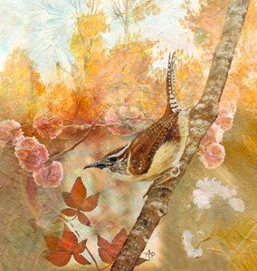 Carolina-Zaunkönig im Herbst von Angeles M. Pomata