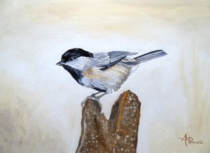 Meise auf Holzstumpf von Angeles M. Pomata