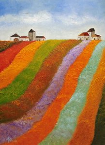 Bunte Dorffelder