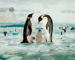 Kaiserpinguin-Familie