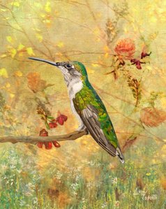Goldener Kolibri auf Sitzplatz