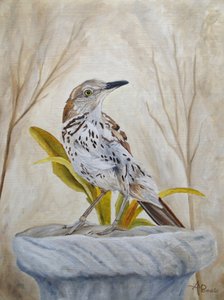 Friedlicher Gartendrossel