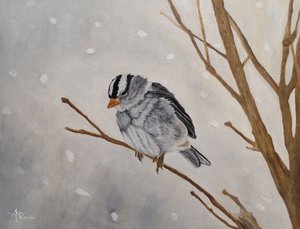 Ruhiger Winterspatz von Angeles M. Pomata
