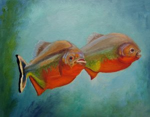 Rotbauchiger Fisch