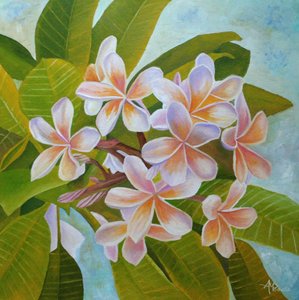 Weiche Plumeria-Blüten von Angeles M. Pomata