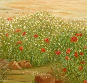 Sommermohn- und Gänseblümchenfeld von Angeles M. Pomata