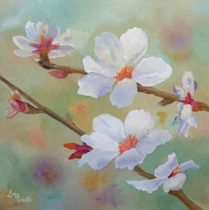 Weiße Mandelblüten von Angeles M. Pomata
