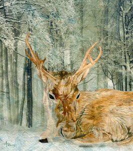 Winterwald-Hirsch