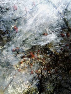 Gefrorene Winterbeeren
