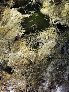 Goldenes Wasserschimmern von Angelo Cerantola