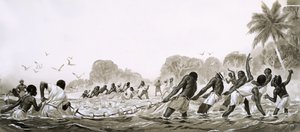 Einheimische der Karibik verwenden Netze, um die Meere nach Fischen abzusuchen