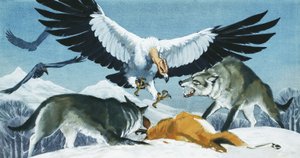 Teratornis