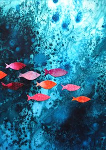 Bunte Ozeanfische