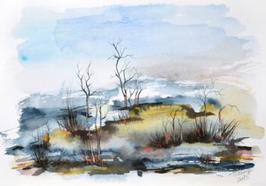 Nebliger Herbstsumpf von Aniko Hencz