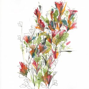 Lebendige Aquarellblüten von Ankie Kooi
