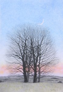 Neumond, 2011 von Anna Phillips