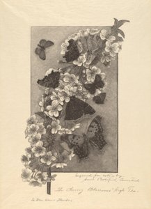 Die Kirschblüten - High Tea