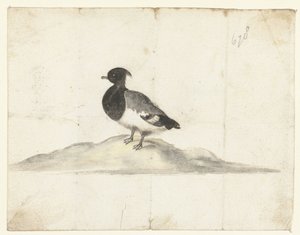 Reiherente von Anna Cornelia Moda