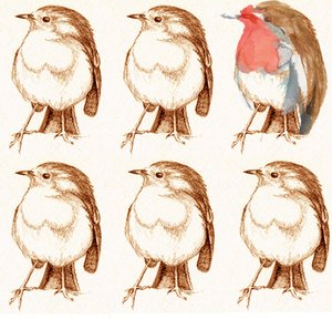 Rotkehlchen
