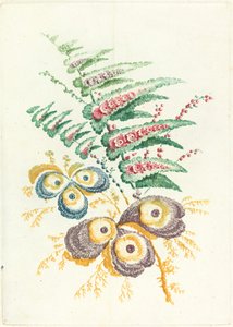 Fantastische Blumen mit Austernschalenblüten von Anne Allen after Jean Baptiste Pillement