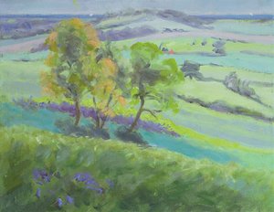 Nach Winchelsea, Sussex, mit Glockenblumen im Frühling von Anne Durham