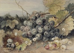 Trauben und Erdbeeren von Anne Frances Byrne