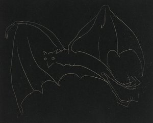 Nachtserie: Die Fledermaus von Anne Goldthwaite