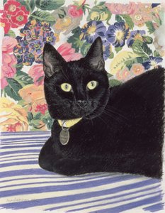 Schwarze Katze von Anne Robinson
