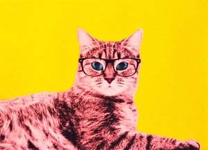 Leben in Technicolor, 2017 von Anne Storno