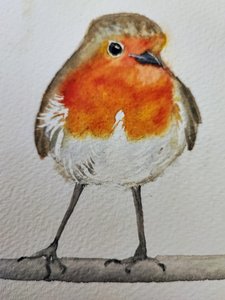 Niedlicher Aquarell-Rotkehlchen