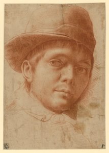 Bildnis eines jungen Mannes mit Kappe von Annibale Carracci