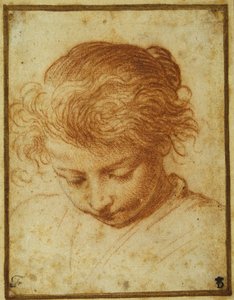 Kopf eines jungen Mädchens, das nach unten schaut von Annibale Carracci