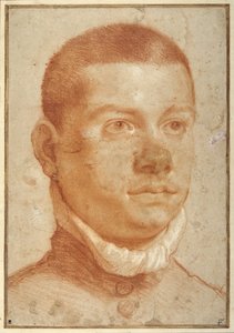 Porträtkopf eines jungen Mannes von Annibale Carracci