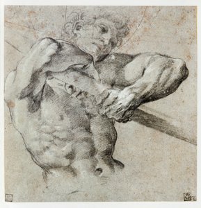 Studie einer männlichen Figur von Annibale Carracci